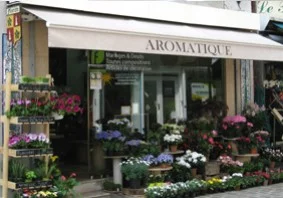 Aromatique à Saint-Maur-des-Fossés
