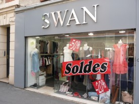 Swan