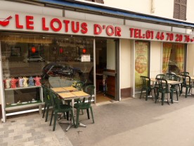Le Lotus d or