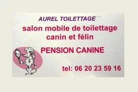 Aurel'toilettage à Angerville