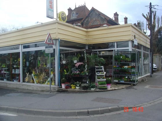 Bonnault Noël Fleurs à Combs-la-Ville