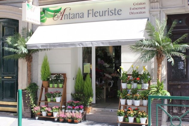 Antana fleuriste