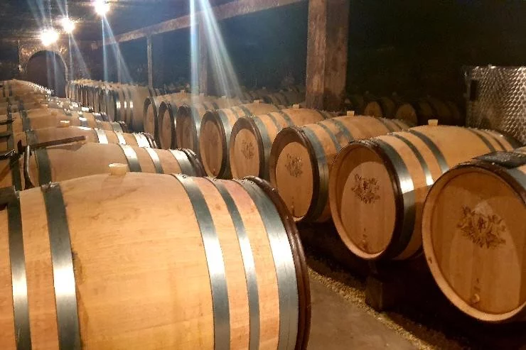 Vinicklès à Noisy-le-Grand