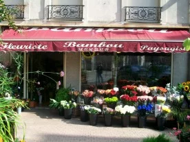 Bambou fleuriste et paysagiste à Meaux