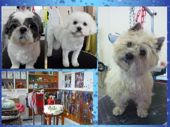 Le jardin canin à Noisy-le-Grand