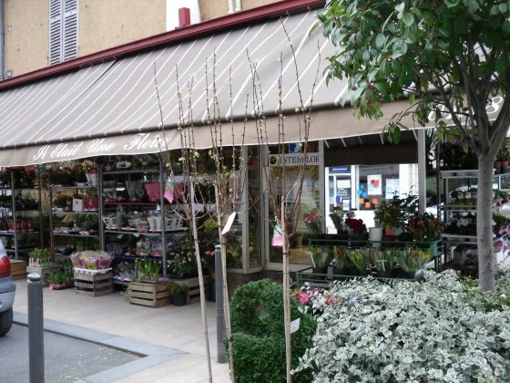Il était une fleur à Le Perreux-sur-Marne
