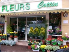 Cottin à Meaux