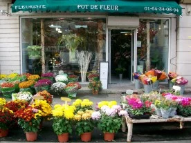 Pot de Fleur à Meaux