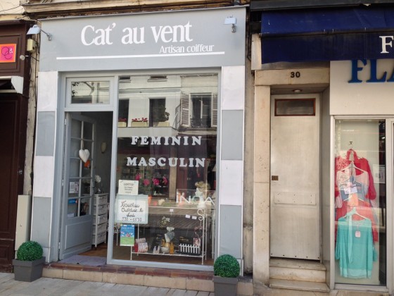 Cat  au vent