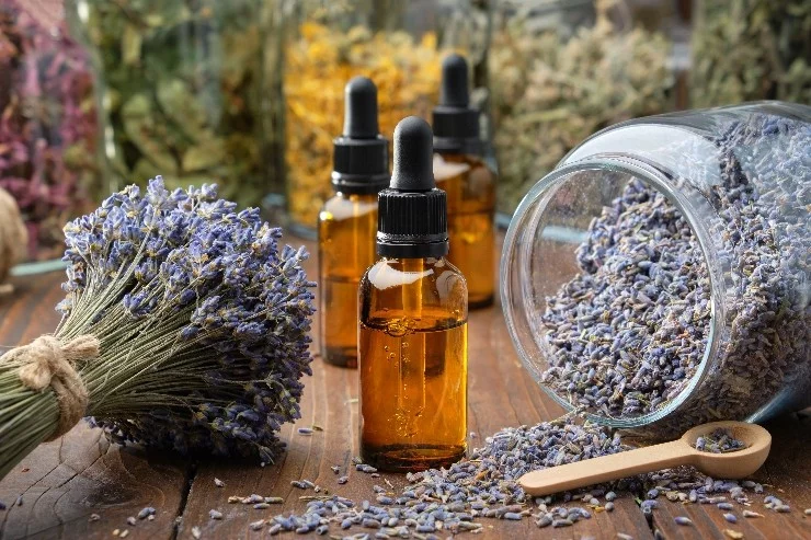 Philippe Bordieu Naturopathe à Auterive
