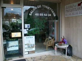 Dog's New Story à La Varenne Saint Hilaire