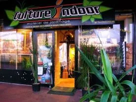 Plante Verte et Poisson Rouge à Meaux