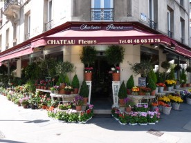 Château Fleurs