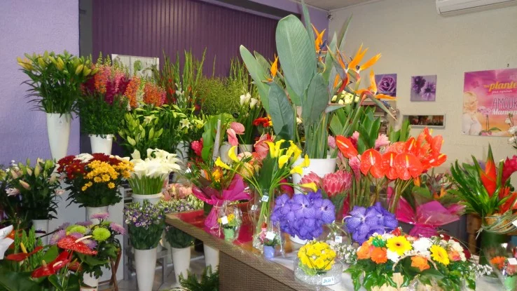 L'Ile aux Fleurs à Noisy-le-Grand