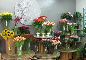 Aromatique à Saint-Maur-des-Fossés