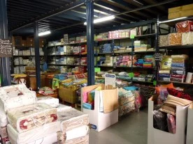 Trefle Blanc à Saint-Maur-des-Fossés