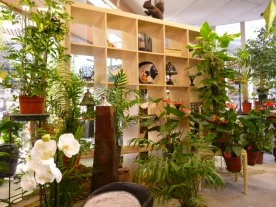 Art Fleur et Nature à Ivry-sur-Seine