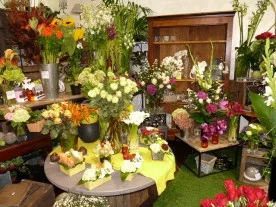 L'Autre Parc Fleuri à La Varenne Saint Hilaire