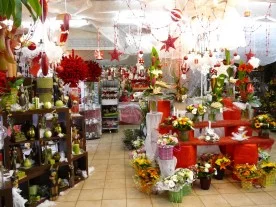 Aurore de Flore à Champigny-sur-Marne