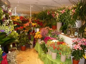 Au nid fleuri à Yerres