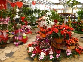 Olivier Fleurs à Villiers-sur-Marne