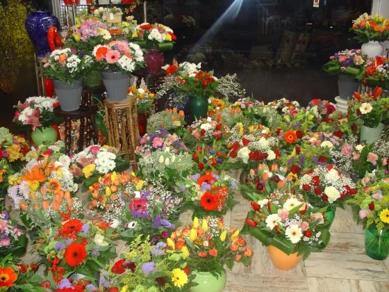 Bonnault Noël Fleurs à Combs-la-Ville