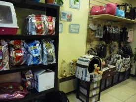 Laetitia Renoud Grappin à Charenton-le-Pont