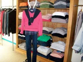 Cactus à Coulommiers