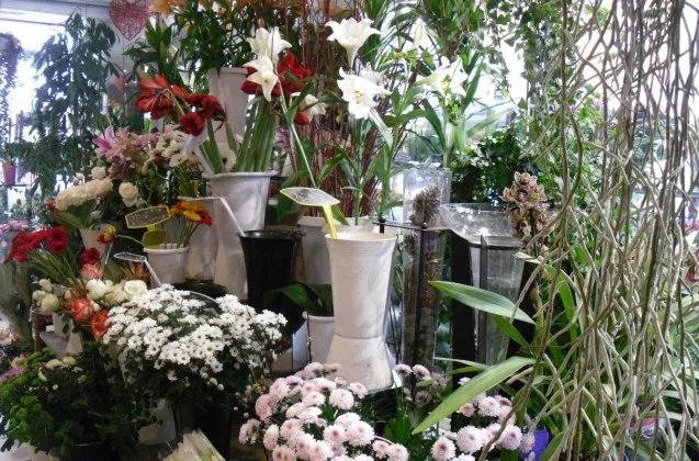 Il était une fleur à Le Perreux-sur-Marne