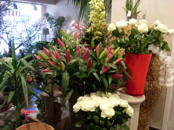 Eve Fleurs à Le Perreux-sur-Marne