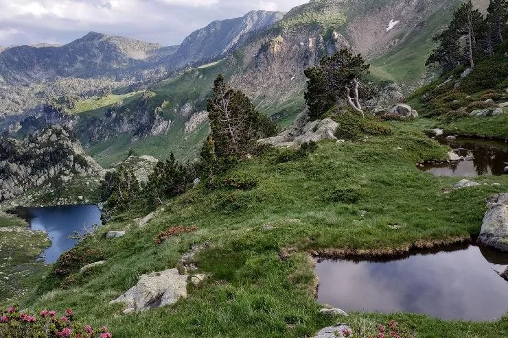 Contre Jour à Lavaur