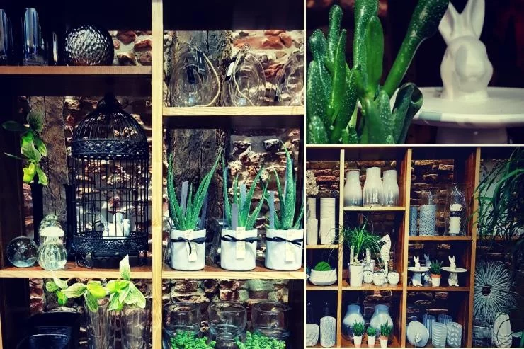 Boutic'Flor à Lavaur