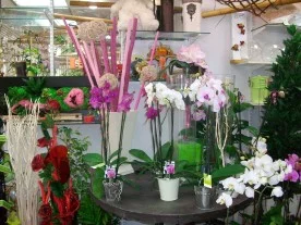 Pot de Fleur à Meaux