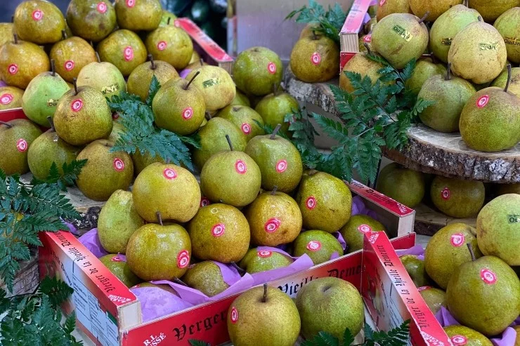 Verger du Château à Vincennes