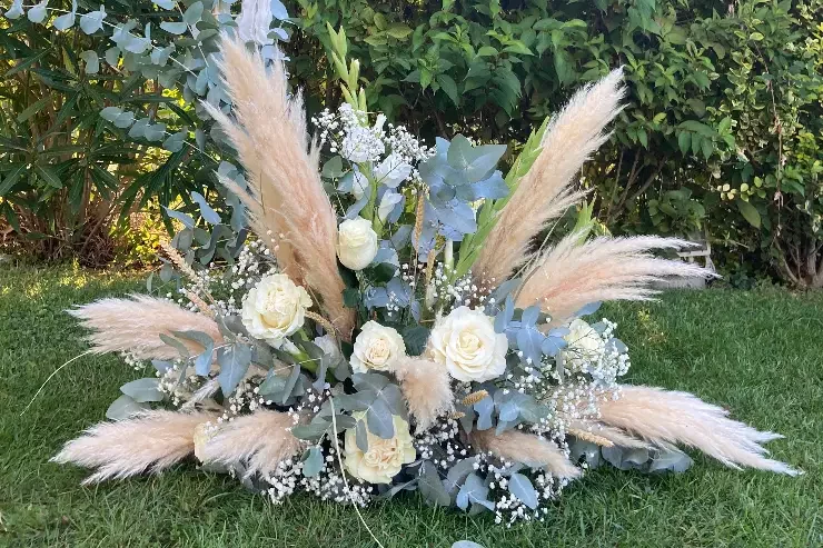 Vanille Camomille à Auterive