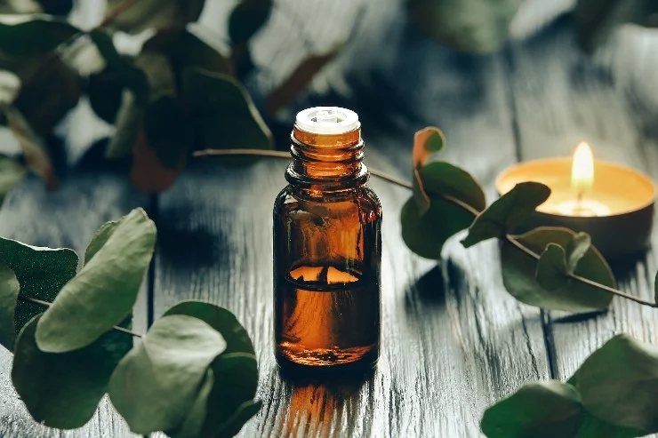 Philippe Bordieu Naturopathe à Auterive