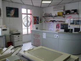 Trematique à Saint-Maur-des-Fossés