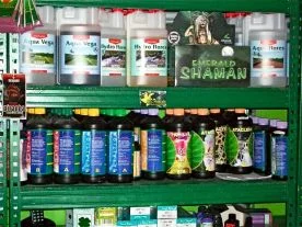 Plante Verte et Poisson Rouge à Meaux