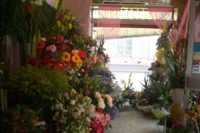 Bouvier Sylviane à Étampes