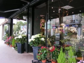 Le Kiosque fleuriste à Saint-Maur-des-Fossés