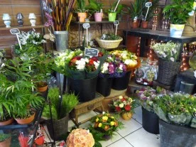 L'Ile aux Fleurs à Champigny-sur-Marne