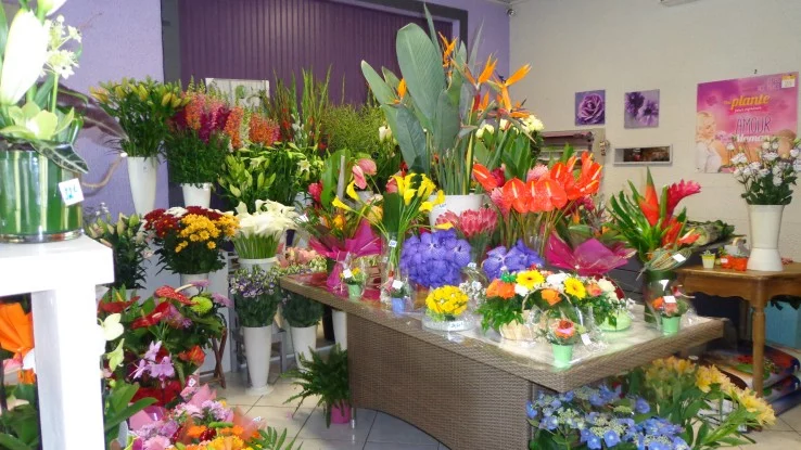 L'Ile aux Fleurs à Noisy-le-Grand