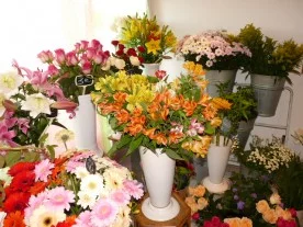 Le Rosier à Étréchy