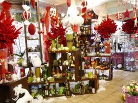 Aurore de Flore à Champigny-sur-Marne