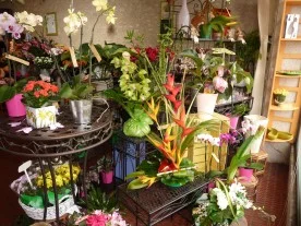 Fleurs et Passion à Angerville