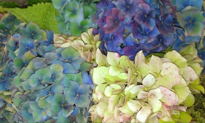 Au Rythme des Saisons à Yerres