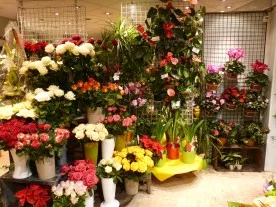 Au nid fleuri à Yerres