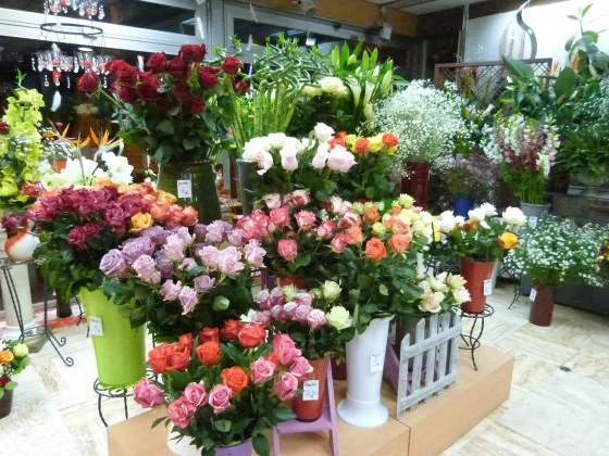 Bonnault Noël Fleurs à Combs-la-Ville