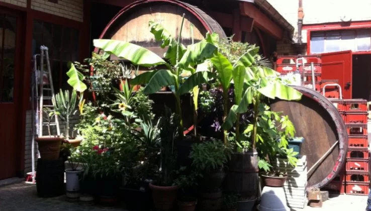 Cave Fillot à Gentilly