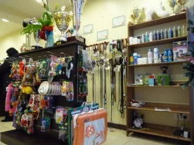 Laetitia Renoud Grappin à Charenton-le-Pont